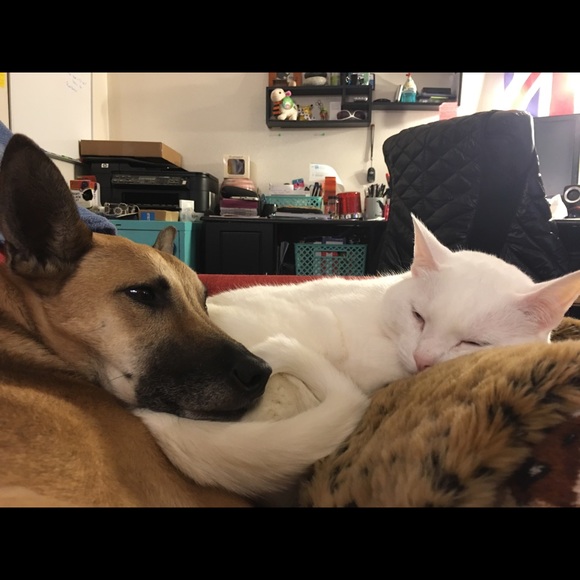 Meet your Posher, Aleks - Picture 6 of 7